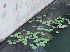 -山明水秀大饭店