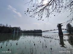 -东湖落雁景区