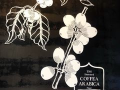 -星巴克(深圳前海企业公馆店)