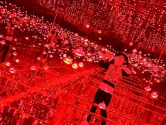-梵高星空艺术馆(北京旗舰店)