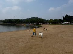 -上海月湖雕塑公园