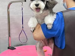 -宠福鑫康馨动物医院·骨科·眼科