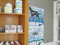 -关爱宠物医院·猫科中心·消化科(滨湖万达分院)