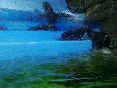 -多彩贵州城极地海洋世界