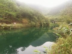 -紫云谷景区