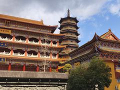 -天目山大树王景区