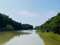 -上海海湾国家森林公园