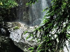 -大围山国家森林公园