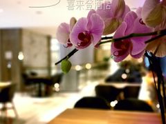 -广州粤海喜来登酒店