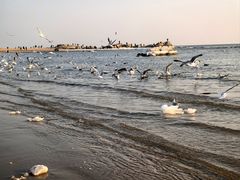 -老虎石海上公园