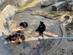 -无锡动物园·太湖欢乐园