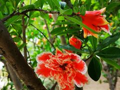 -白塘生态植物园