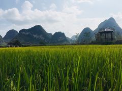 -靖西鹅泉风景区