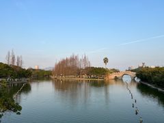 -江心屿景区