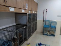 -佳雯宠物医院(四明中路分院)