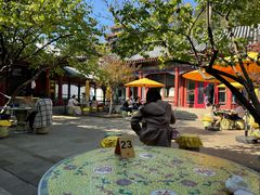 -宫事颐庭·老佛爷贵寿下午茶(颐和园店)