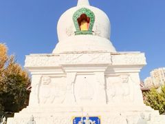 -西塔大冷面(市府大路店)