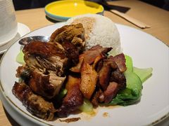 -昌勝香港深井烧鹅(新年华店)