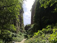 -窦圌山风景区