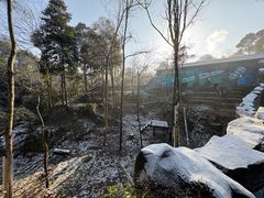 -中国大熊猫保护研究中心雅安碧峰峡基地