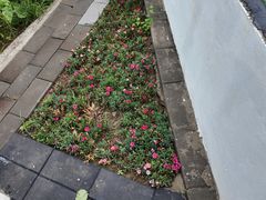 -丽泽山庄·生态怀柔菜·虹鳟鱼(红螺寺店)