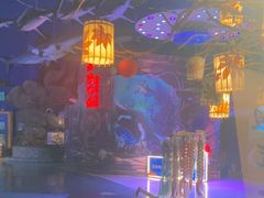 -烟台海昌鲸鲨海洋公园