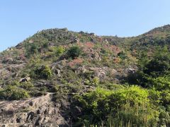 -大罗山风景区