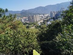 -金鸡山公园