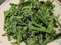 清炒油菜尖-妈妈的味道(和顺古镇店)