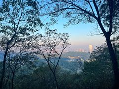 -岳麓山风景名胜区