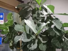 -华夏良子·足道SPA艾灸(龙潭路店)