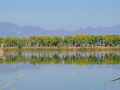 -野鸭湖国家湿地公园