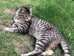 -上海理工大学出版印刷高等专科学院-学生食堂