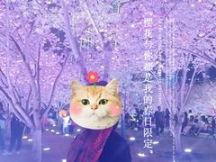 -西北湖绿化广场