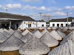 -苏州市吴中区光福窑上花果蜜饯厂