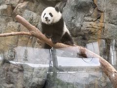-香港海洋公园