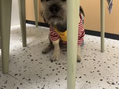 -瑞派康怡24h宠物医院·犬猫医疗中心·微创绝育(瑞景分院)