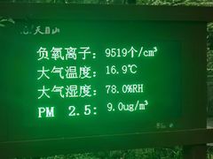 -天目山大树王景区
