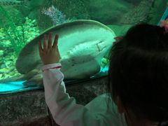 -苏州海洋馆