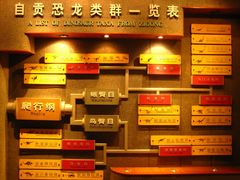 -自贡恐龙博物馆