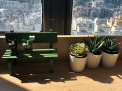 -猫小主咖啡·猫咖cat cafe(福田店)