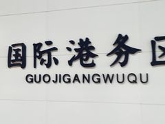 -国际港务区(地铁站)