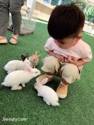 -萌宠亲子动物乐园(槐房万达店)