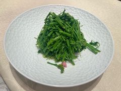 -香乐园·淮扬菜中餐厅·Shang Garden(福田香格里拉店)