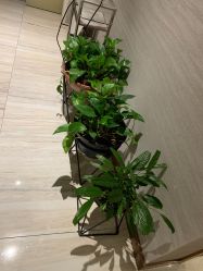 点击看大图 -苑苑vbeauty科技美容SPA