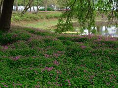 -蜀冈西峰生态公园