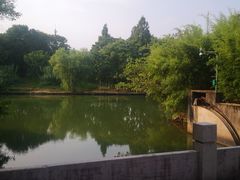 -西溪国家湿地公园