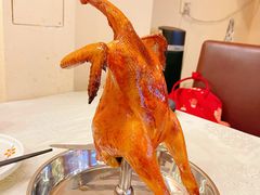 -强记烧鸡(信业悦都汇店)