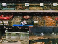 -波记美食店·现捞海鲜