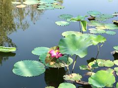 -中关村生命科学园